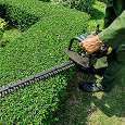 Débroussaillage et taillage des haies